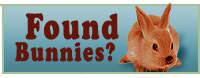 Found a bunny?