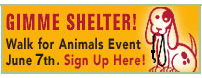 Gimme Shelter! Walk June 7th.